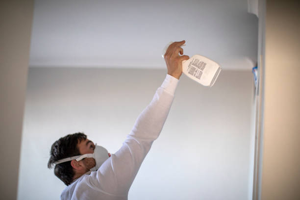 Best Emergency Mold Removal  in Chelsea, MA