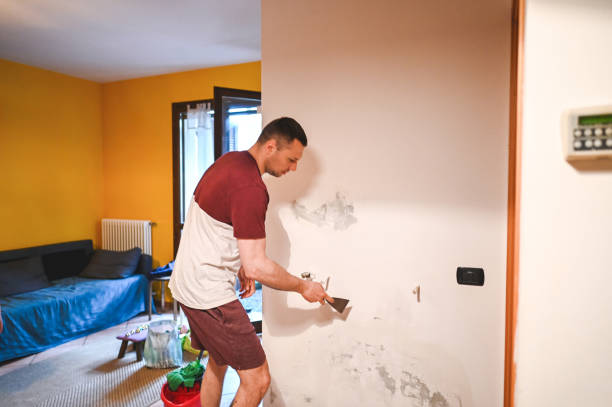 Best Affordable Mold Removal  in Chelsea, MA